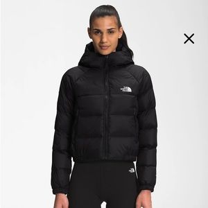 Northface Hydrenalite Down Cropped Coat